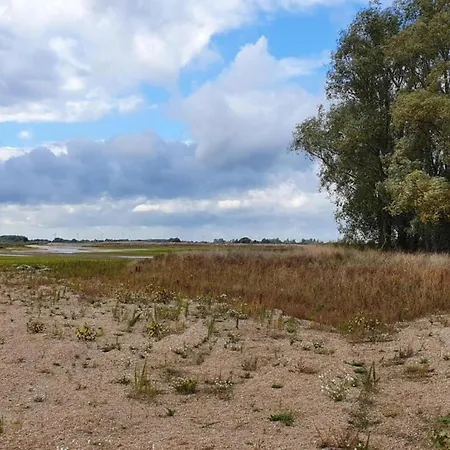 With Sauna Near Nijmegen Feriehus Ewijk